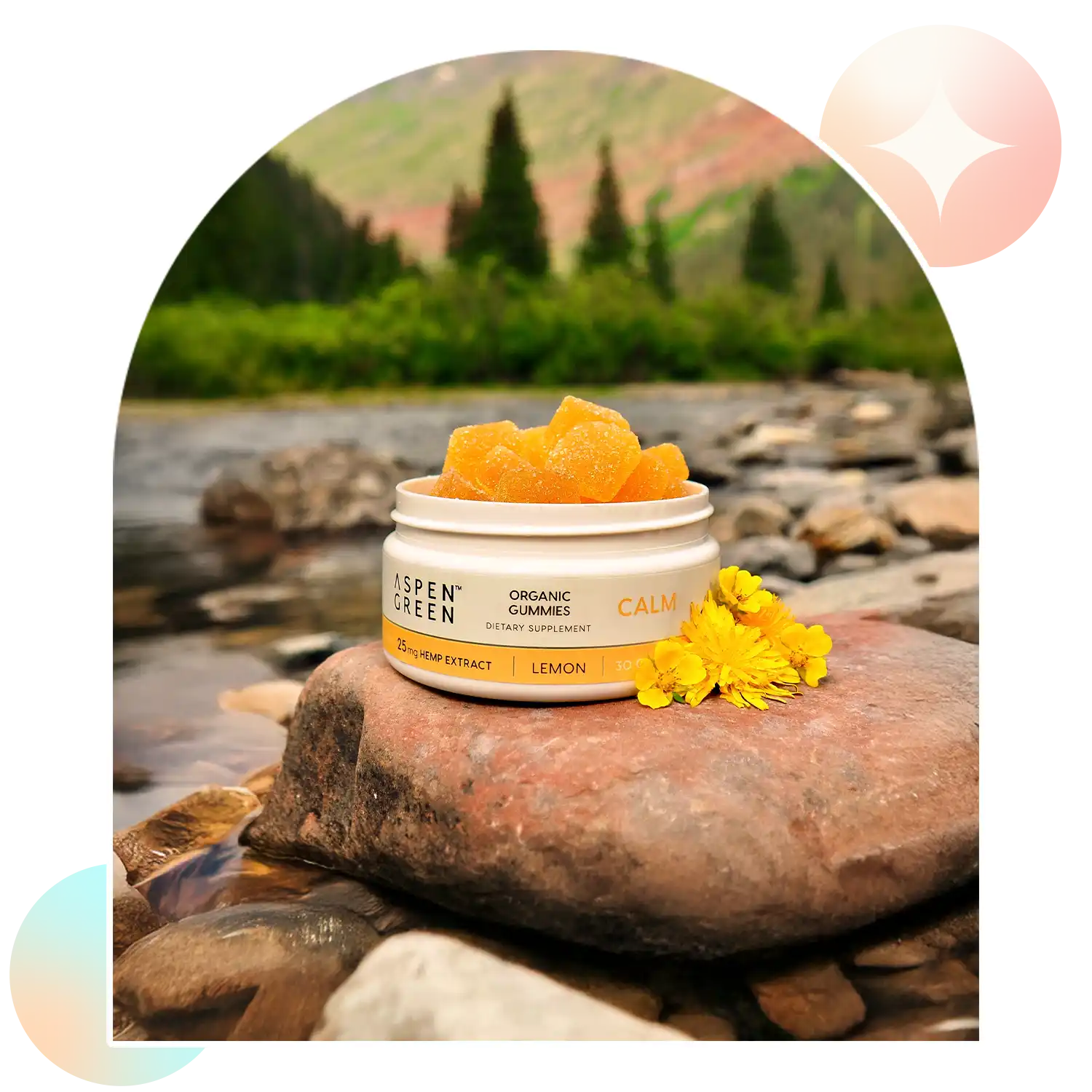 Open jar of Aspen Green USDA Certified Organic Calm CBD Gummies on a rock with a scenic outdoor background.