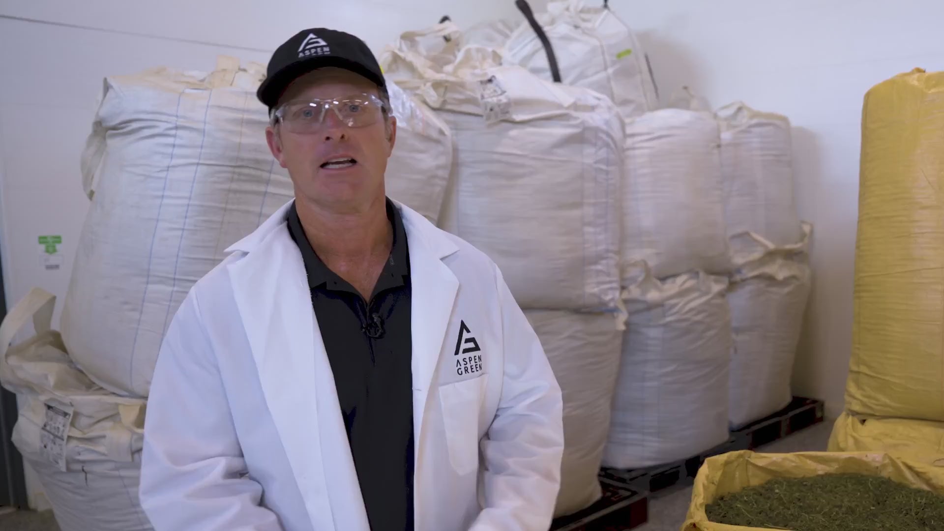 Aspen Green Extraction Process