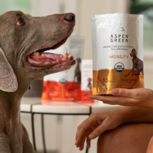 Large Dog Given Aspen Green Mobility CBD Dog Chews